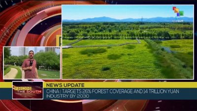 China targets 26% forest growth and ¥14T industry by 2030