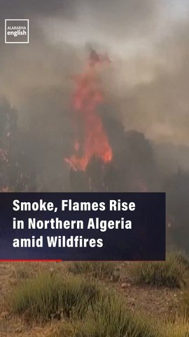 Smoke, Flames Rise in Northern Algeria amid Wildfires
