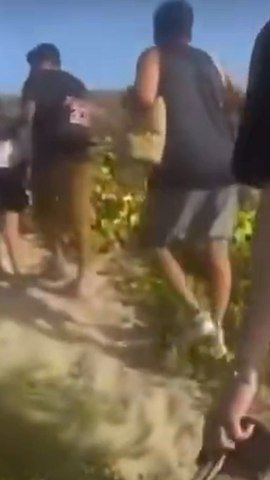 Mass smuggling attempts foiled in Puerto Rico and Arizona