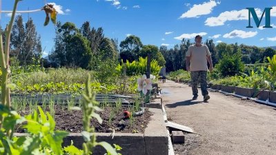 Meet the people growing food and flowers at Dapto Community Farm