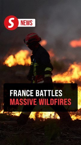 Firefighters and farmers team up to tackle French wildfires