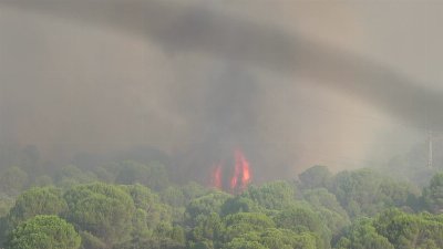 España mantiene el estado de emergencia mientras los incendios continúan arrasando Madrid