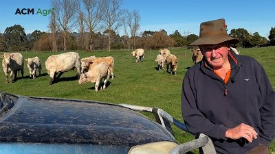 Farmer reflects on lifetime supplying Australian and export beef markets