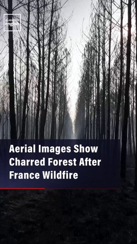 Aerial Images Show  Charred Forest After  France Wildfire