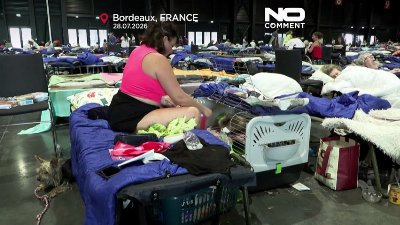 France veterinary team treats pets of wildfire evacuees