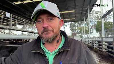 Strong demand sees steer prices soar at Euroa store sale