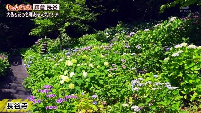 じゅん散歩  動画　2026年07月10日 Miomio 動画 5mio.org