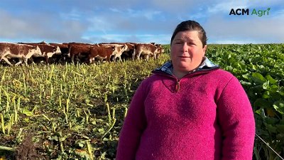 How Bombardier kale transformed a Gelantipy beef operation