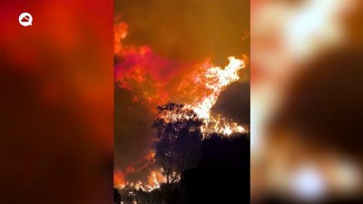 Devastating wildfires rage across Sicily, Italy