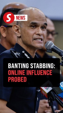 Cops probing possibility of outside influence on Banting school stabbing suspect