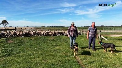 Green drought forces Central Gippsland farmers to activate early survival plans