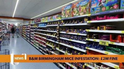 B&M fined two million pounds after mice found in three Birmingham stores