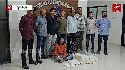 પોસ્ટ મારફતે ગાંજાની હેરાફેરી: ઓરિસ્સાથી જુનાગઢ પાર્સલમાં મોકલાયો 4 કિલો ગાંજો, SOGએ 2 શખ્સોને ઝડપ્યા
