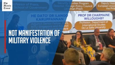 WPS tension an attempt to undermine PH food, energy security, says analyst