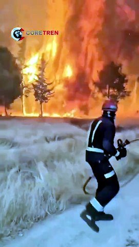 Spain has declared a national emergency as massive wildfires spread across Madrid and Ávila.