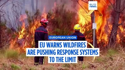 'Out of capacity’: EU warns wildfires are pushing response systems to the limit