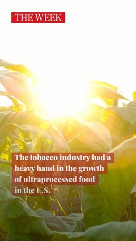Why You Can't Stop Eating Ultra-Processed Food, By Design